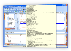 PHP Designer debugging