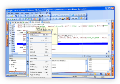 Php Debugger Difference