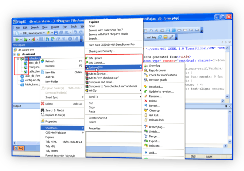 PHP Editor SVN