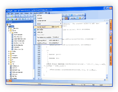 Encode PHP in IDE