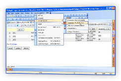 PHP VIEWER EMBEDDED MOZILLA