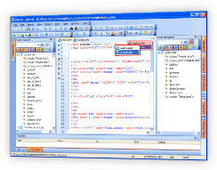 PHP Editor Drop Down
