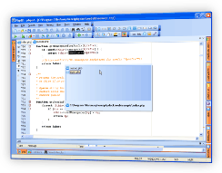 PHP IDE Visual Tab